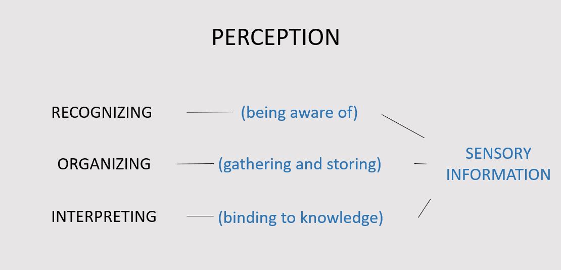 Parts of perception